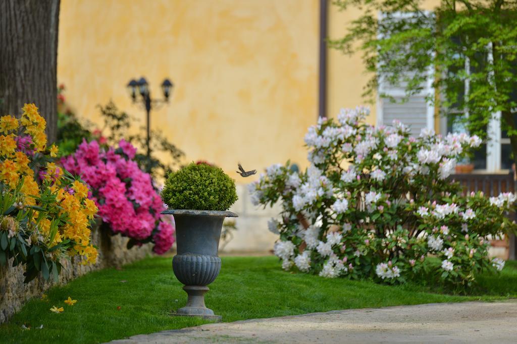 Charmilles des Cordeliers Bed and Breakfast París Exterior foto